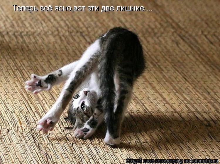 Теперь всё ясно,вот эти две лишние....... Котоматрица: Теперь всё ясно,вот эти две лишние....