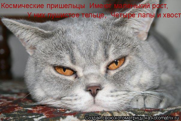 Космические пришельцы Имеют маленький рост, У них пушистое тельце, Четыре лапы и хвост.... Котоматрица: Космические пришельцы Имеют маленький рост, У них пушистое тельце, Четыре лапы и хвост.