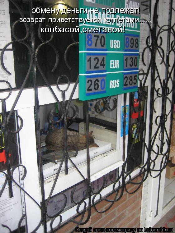 обмену деньги не подлежат! возврат приветствуется котлетами...... колбасой,сметаной!... Котоматрица: обмену деньги не подлежат! возврат приветствуется котлетами...... колбасой,сметаной!