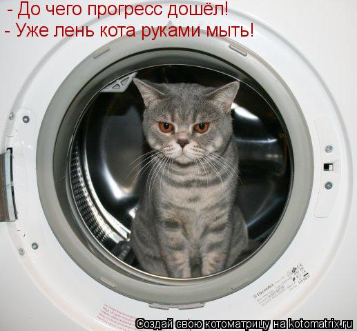 - До чего прогресс дошёл! - Уже лень кота руками мыть!... Котоматрица: - До чего прогресс дошёл! - Уже лень кота руками мыть!