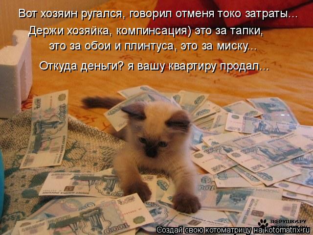 Вот хозяин ругался, говорил отменя токо затраты... Держи хозяйка, компинсация) это за тапки, это за ... Котоматрица: Вот хозяин ругался, говорил отменя токо затраты... Держи хозяйка, компинсация) это за тапки, это за обои и плинтуса, это за миску... Откуда ден