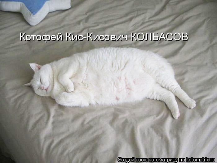Котофей Кис-Кисович КОЛБАСОВ... Котоматрица: Котофей Кис-Кисович КОЛБАСОВ