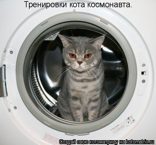 Тренировки кота космонавта.... Котоматрица: Тренировки кота космонавта.