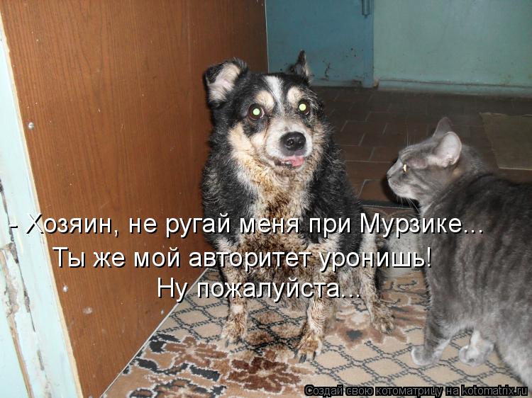 - Хозяин, не ругай меня при Мурзике... Ты же мой авторитет уронишь! Ну пожалуйста...... Котоматрица: - Хозяин, не ругай меня при Мурзике... Ты же мой авторитет уронишь! Ну пожалуйста...