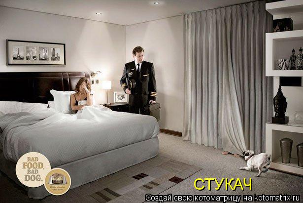 СТУКАЧ... Котоматрица: СТУКАЧ