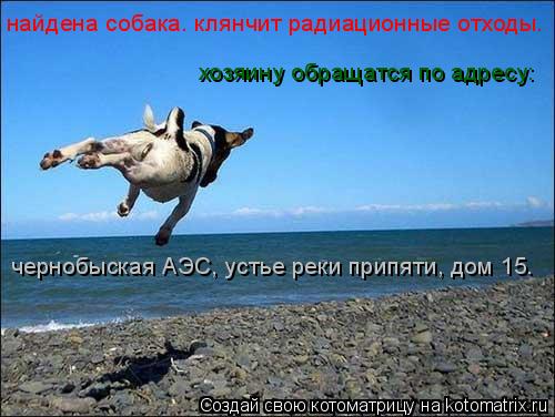 найдена собака. клянчит радиационные отходы. хозяину обращатся по адресу: чернобыская АЭС, устье реки... Котоматрица: найдена собака. клянчит радиационные отходы. хозяину обращатся по адресу: чернобыская АЭС, устье реки припяти, дом 15.