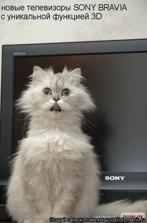 новые телевизоры SONY BRAVIA с уникальной функцией 3D... Котоматрица: новые телевизоры SONY BRAVIA с уникальной функцией 3D