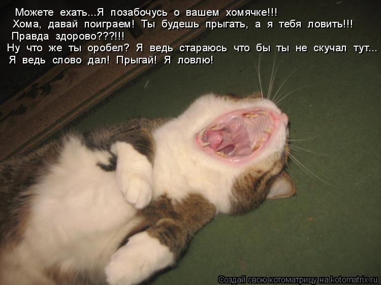 Хома, давай поиграем! Ты будешь прыгать, а я тебя ловить!!! Можете ехать...Я позабочусь о... Котоматрица: Хома, давай поиграем! Ты будешь прыгать, а я тебя ловить!!! Можете ехать...Я позабочусь о вашем хомячке!!! Правда здорово???!!! Ну что
