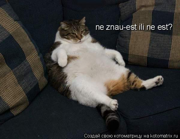 ne znau-est ili ne est?... Котоматрица: ne znau-est ili ne est?