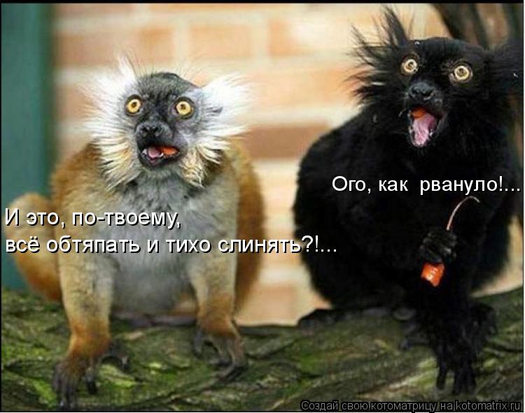 Ого, как рвануло!... И это, по-твоему, всё обтяпать и тихо слинять?!...... Котоматрица: Ого, как рвануло!... И это, по-твоему, всё обтяпать и тихо слинять?!...