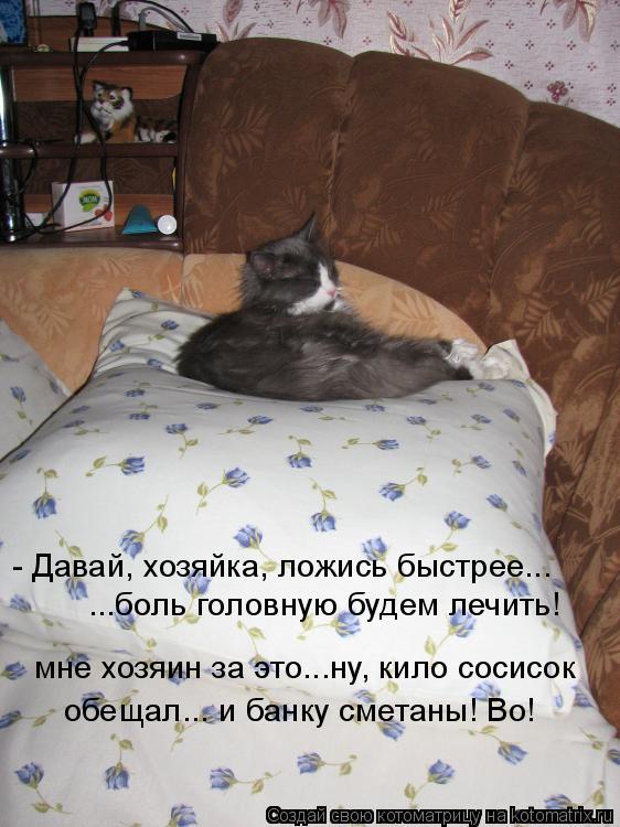 Котоматрица: - Давай, хозяйка, ложись быстрее... ...боль головную будем лечить! мне хозяин за это...ну, кило сосисок  обещал... и банку сметаны! Во!