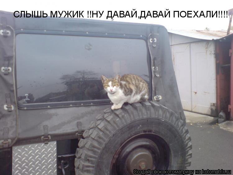 СЛЫШЬ МУЖИК !!НУ ДАВАЙ,ДАВАЙ ПОЕХАЛИ!!!!... Котоматрица: СЛЫШЬ МУЖИК !!НУ ДАВАЙ,ДАВАЙ ПОЕХАЛИ!!!!