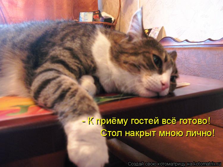 Котоматрица: - К приёму гостей всё готово! Стол накрыт мною лично!