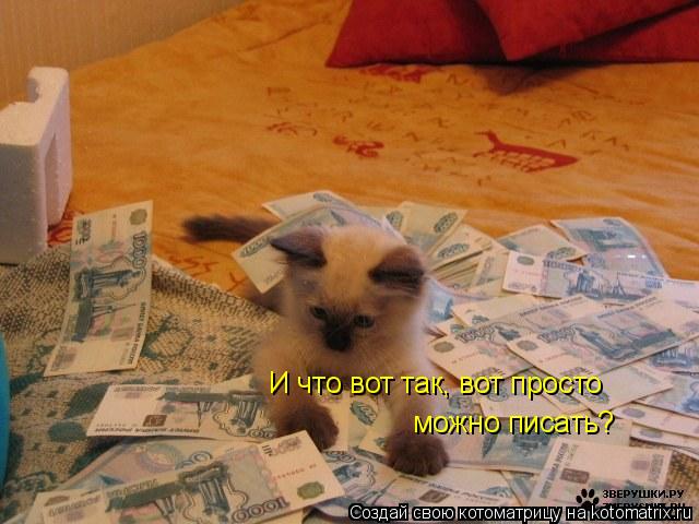 И что вот так, вот просто можно писать?... Котоматрица: И что вот так, вот просто можно писать?
