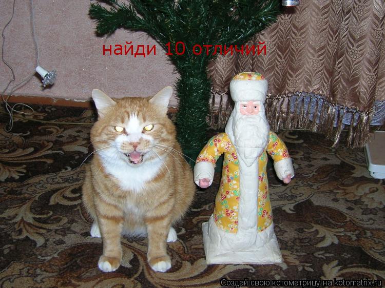найди 10 отличий... Котоматрица: найди 10 отличий