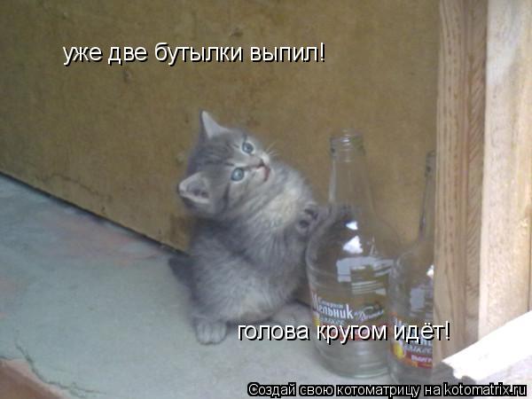 уже две бутылки выпил! голова кругом идёт!... Котоматрица: уже две бутылки выпил! голова кругом идёт!