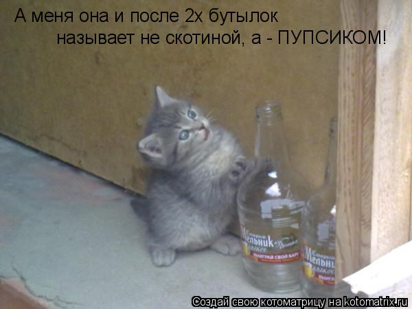 А меня она и после 2х бутылок называет не скотиной, а - ПУПСИКОМ!... Котоматрица: А меня она и после 2х бутылок называет не скотиной, а - ПУПСИКОМ!