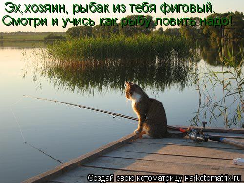 Эх,хозяин, рыбак из тебя фиговый. Смотри и учись как рыбу ловить надо!... Котоматрица: Эх,хозяин, рыбак из тебя фиговый. Смотри и учись как рыбу ловить надо!