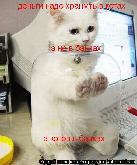 деньги надо хранмть в котах а не в банках а котов в банках... Котоматрица: деньги надо хранмть в котах а не в банках а котов в банках