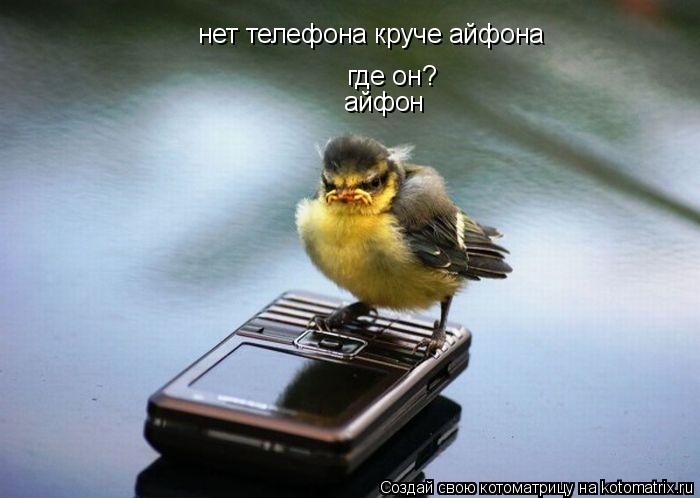 нет телефона круче айфона где он? айфон... Котоматрица: нет телефона круче айфона где он? айфон