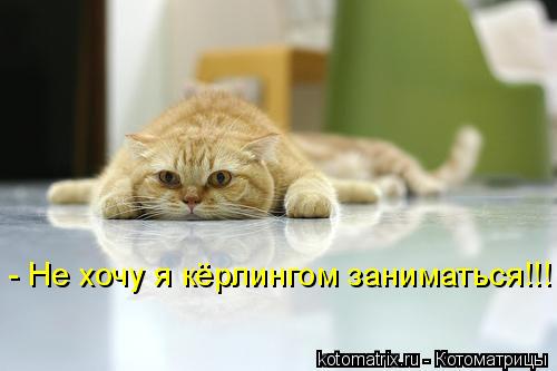 - Не хочу я кёрлингом заниматься!!!... Котоматрица: - Не хочу я кёрлингом заниматься!!!