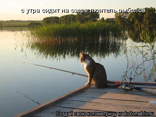 с утра сидит на озере люитель рыболов... Котоматрица: с утра сидит на озере люитель рыболов