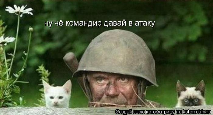 ну чё командир давай в атаку... Котоматрица: ну чё командир давай в атаку