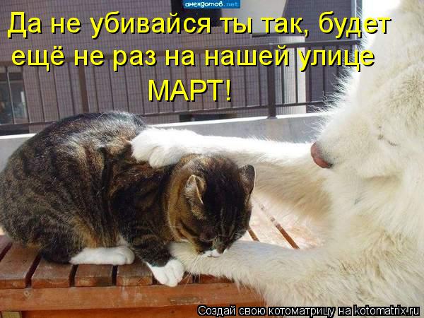 Да не убивайся ты так, будет ещё не раз на нашей улице МАРТ!... Котоматрица: Да не убивайся ты так, будет ещё не раз на нашей улице МАРТ!