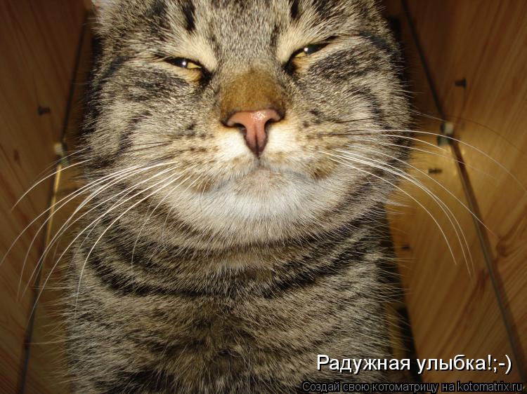 Радужная улыбка!;-)... Котоматрица: Радужная улыбка!;-)