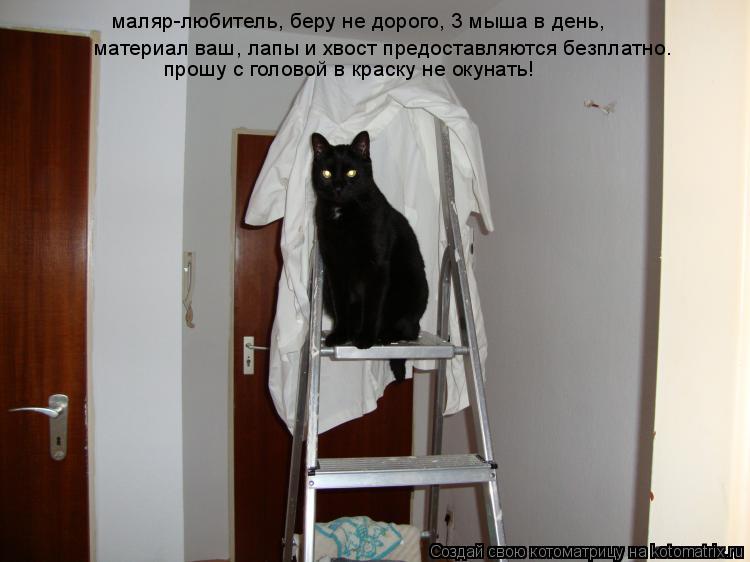маляр-любитель, беру не дорого, 3 мыша в день, прошу с головой в краску не окунать! материал ваш, лап... Котоматрица: маляр-любитель, беру не дорого, 3 мыша в день, прошу с головой в краску не окунать! материал ваш, лапы и хвост предоставляются безплатно.