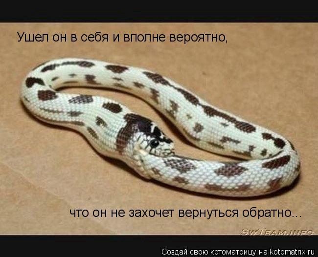 Ушел он в себя и вполне вероятно, что он не захочет вернуться обратно...... Котоматрица: Ушел он в себя и вполне вероятно, что он не захочет вернуться обратно...