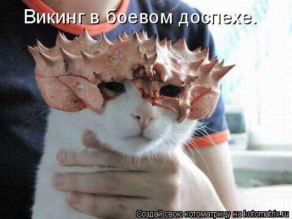 Викинг в боевом доспехе.... Котоматрица: Викинг в боевом доспехе.