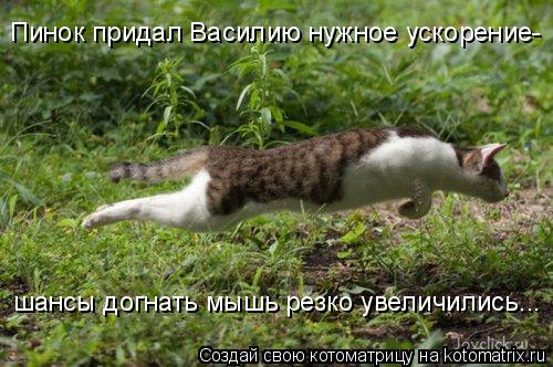 Пинок придал Василию нужное ускорение- шансы догнать мышь резко увеличились...... Котоматрица: Пинок придал Василию нужное ускорение- шансы догнать мышь резко увеличились...