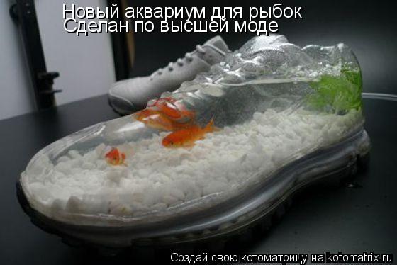 Новый аквариум для рыбок Сделан по высшей моде... Котоматрица: Новый аквариум для рыбок Сделан по высшей моде