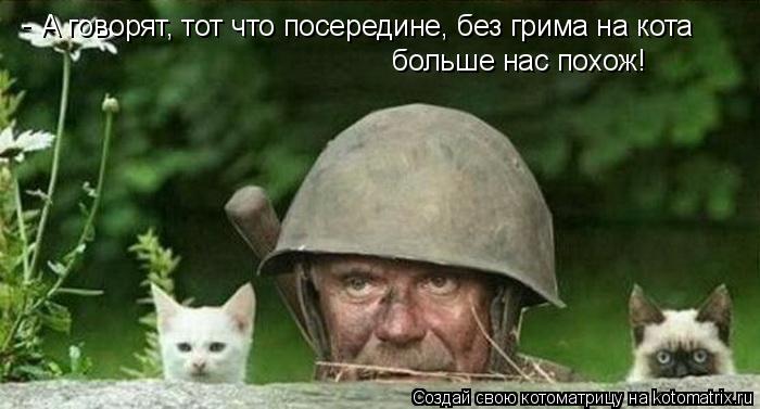 А говорят, тот что посередине, без грима на кота больше нас похож! -... Котоматрица: А говорят, тот что посередине, без грима на кота больше нас похож! -