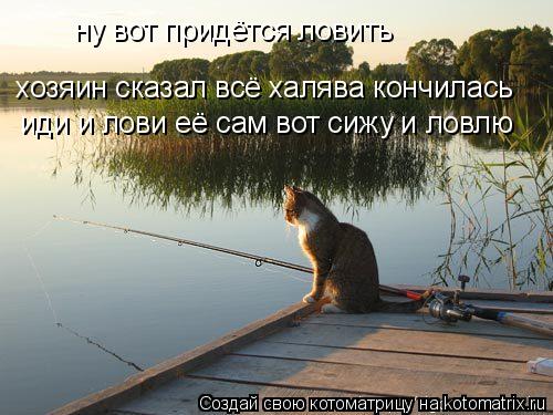 ну вот придётся ловить хозяин сказал всё халява кончилась иди и лови её сам вот сижу и ловлю... Котоматрица: ну вот придётся ловить хозяин сказал всё халява кончилась иди и лови её сам вот сижу и ловлю