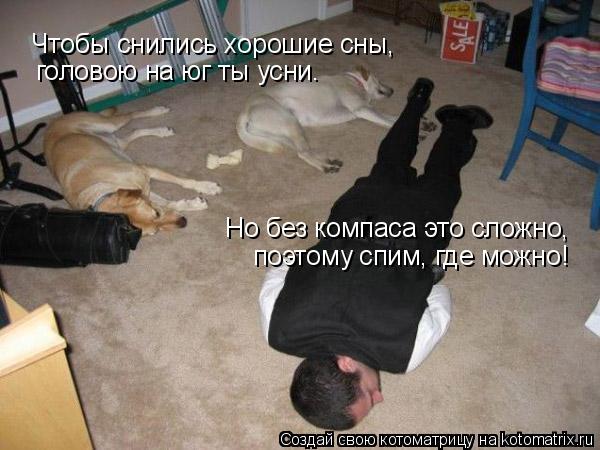 Чтобы снились хорошие сны, Но без компаса это сложно, поэтому спим, где можно! головою на юг ты усни... Котоматрица: Чтобы снились хорошие сны, Но без компаса это сложно, поэтому спим, где можно! головою на юг ты усни.
