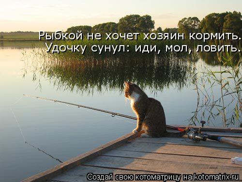 Удочку сунул: иди, мол, ловить. Рыбкой не хочет хозяин кормить.... Котоматрица: Удочку сунул: иди, мол, ловить. Рыбкой не хочет хозяин кормить.