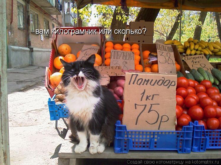 вам килограмчик или сколько?... Котоматрица: вам килограмчик или сколько?