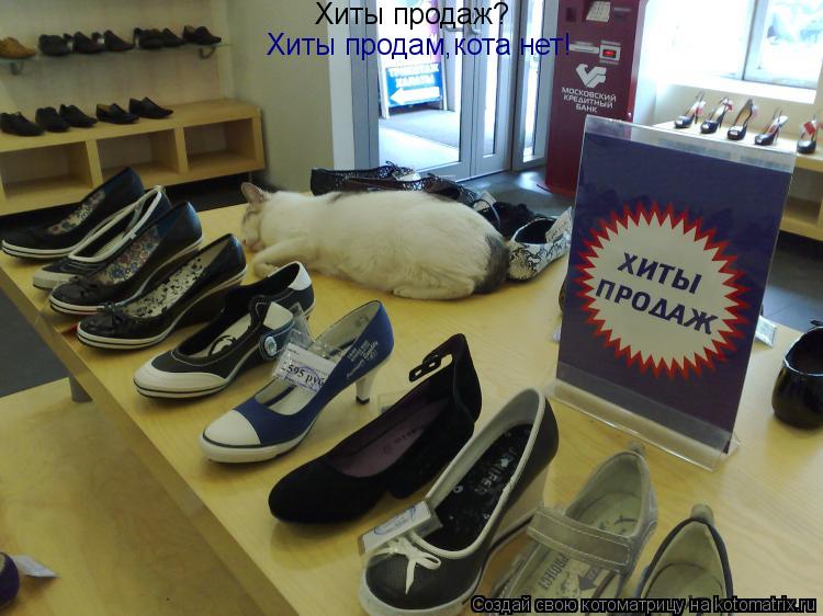 Хиты продаж? Хиты продам,кота нет!... Котоматрица: Хиты продаж? Хиты продам,кота нет!