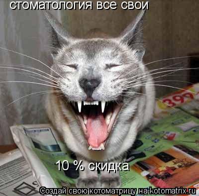 стоматология все свои 10 % cкидка... Котоматрица: стоматология все свои 10 % cкидка