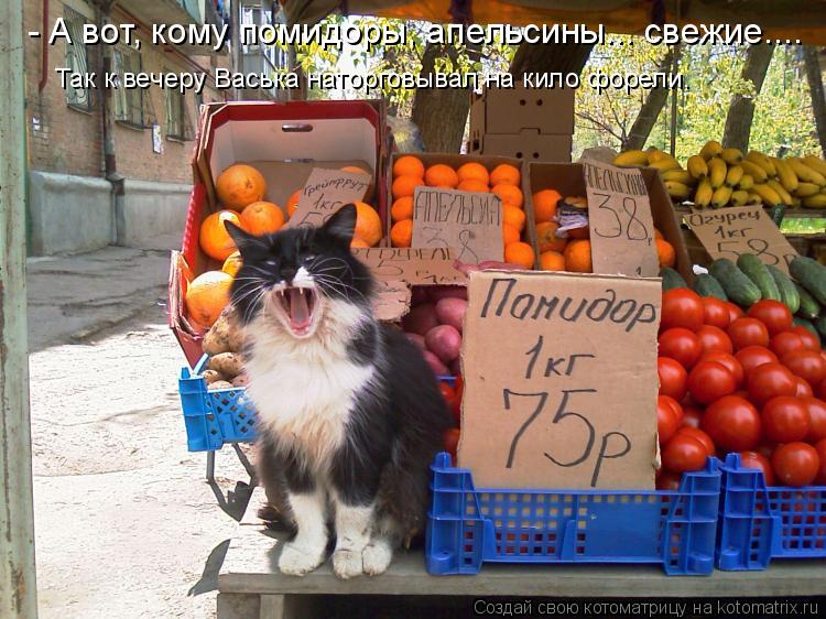 - А вот, кому помидоры, апельсины... свежие.... Так к вечеру Васька наторговывал на кило форели.... Котоматрица: - А вот, кому помидоры, апельсины... свежие.... Так к вечеру Васька наторговывал на кило форели.