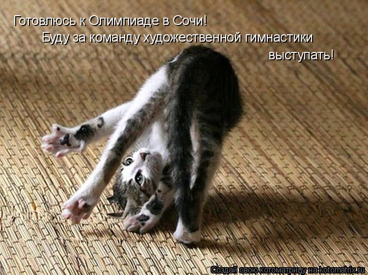 Готовлюсь к Олимпиаде в Сочи! Буду за команду художественной гимнастики выступать!... Котоматрица: Готовлюсь к Олимпиаде в Сочи! Буду за команду художественной гимнастики выступать!
