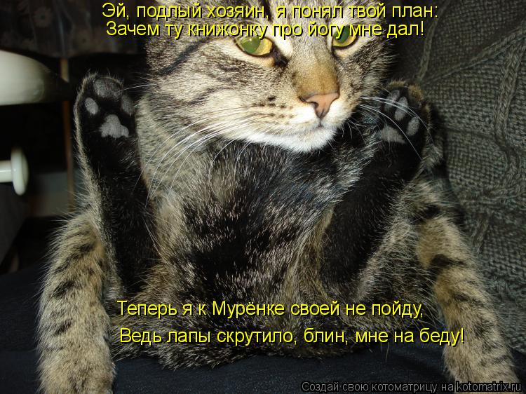Эй, подлый хозяин, я понял твой план: Зачем ту книжонку про йогу мне дал! Теперь я к Мурёнке своей не... Котоматрица: Эй, подлый хозяин, я понял твой план: Зачем ту книжонку про йогу мне дал! Теперь я к Мурёнке своей не пойду, Ведь лапы скрутило, блин, мне на бе