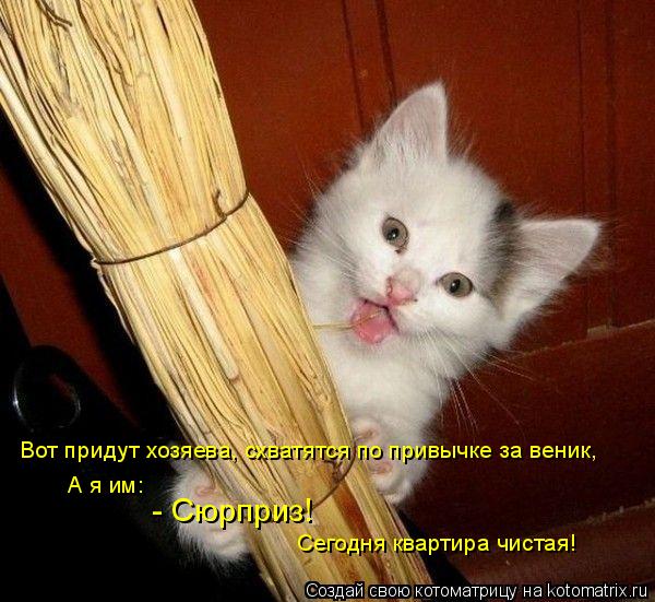 Котоматрица: Вот придут хозяева, схватятся по привычке за веник, А я им:  - Сюрприз! Сегодня квартира чистая!