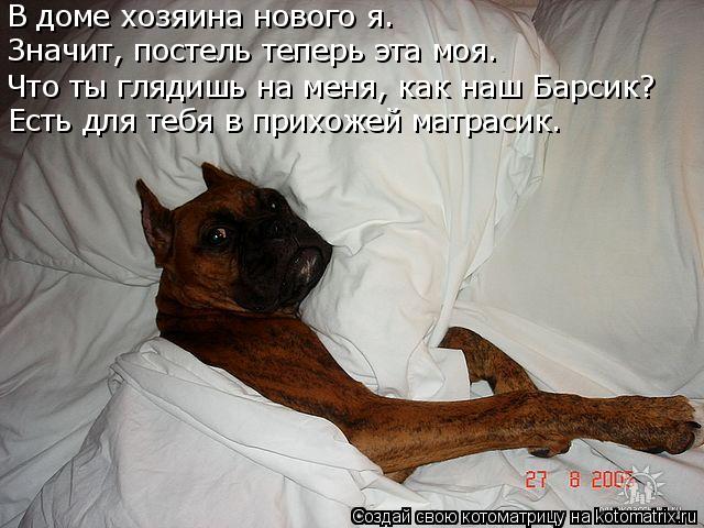 Что ты глядишь на меня, как наш Барсик? Есть для тебя в прихожей матрасик. Значит, постель теперь эта... Котоматрица: Что ты глядишь на меня, как наш Барсик? Есть для тебя в прихожей матрасик. Значит, постель теперь эта моя. В доме хозяина нового я.