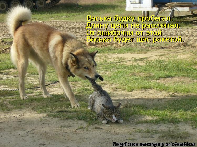 Васька будку пробегал. Длину цепи не рассчитал. От ошибочки от этой Васька будет щас ракетой.... Котоматрица: Васька будку пробегал. Длину цепи не рассчитал. От ошибочки от этой Васька будет щас ракетой.