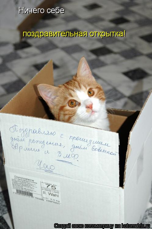 Ничего себе поздравительная открытка!... Котоматрица: Ничего себе поздравительная открытка!