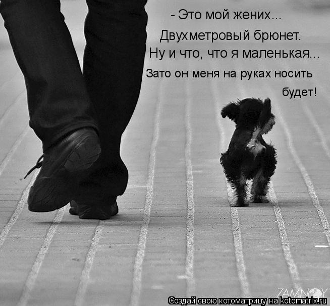 - Это мой жених... Двухметровый брюнет. Ну и что, что я маленькая... Зато он меня на руках носить буд... Котоматрица: - Это мой жених... Двухметровый брюнет. Ну и что, что я маленькая... Зато он меня на руках носить будет!