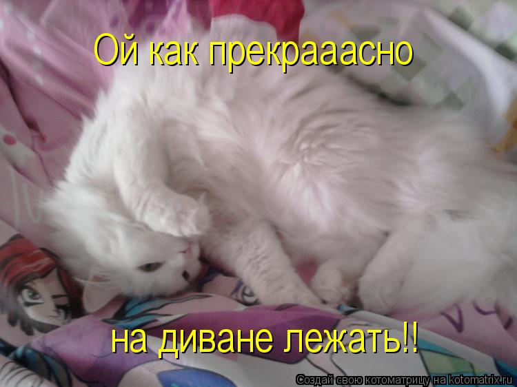 Ой как прекрааасно на диване лежать!!... Котоматрица: Ой как прекрааасно на диване лежать!!